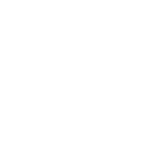 Surveillance State